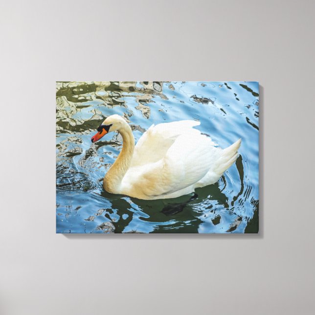 White swan view canvas print (Front)