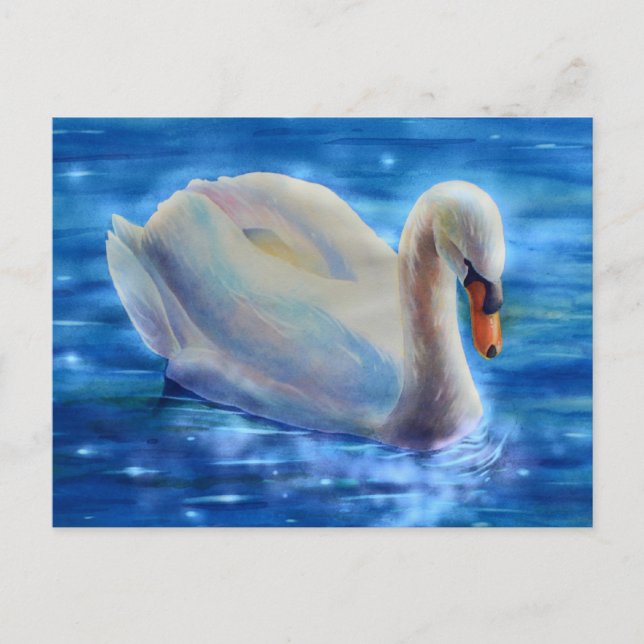 White swan watercolor painting  postcard (Front)