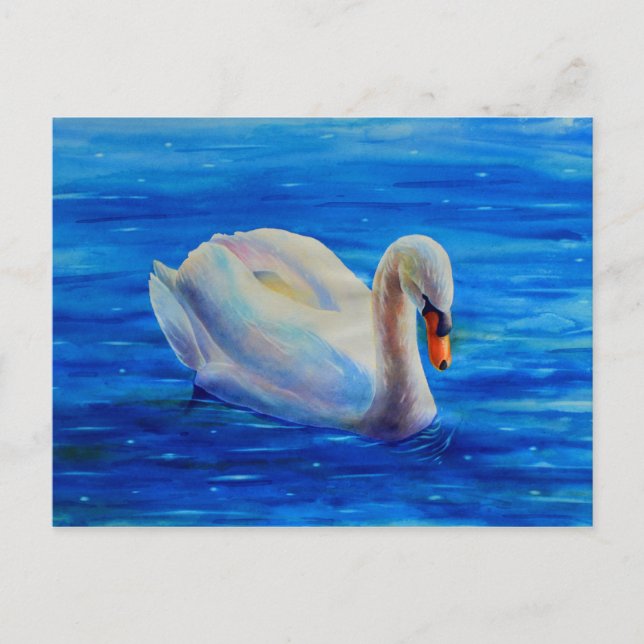 White swan watercolor painting, waterfowl, bird postcard (Front)