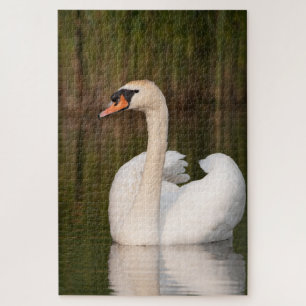 White swan (white swan) jigsaw puzzle