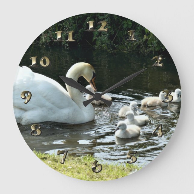 White Swan with Chicks Large Clock (Front)