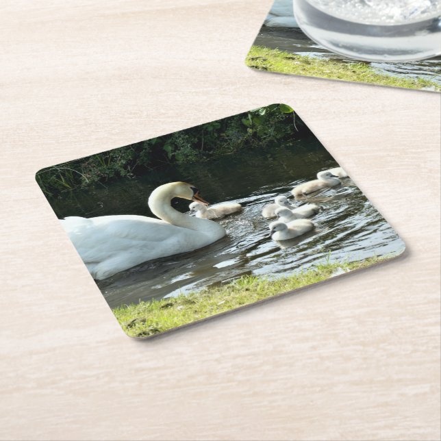 White Swan with Chicks Square Paper Coaster (Angled)