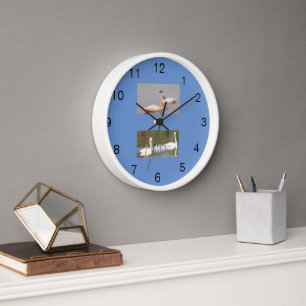 White Swans Acrylic Wall Clock