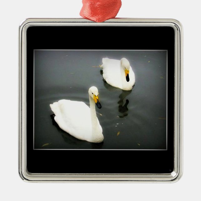 White Swans Black Water Metal Tree Decoration (Front)