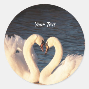 White Swans Classic Round Sticker