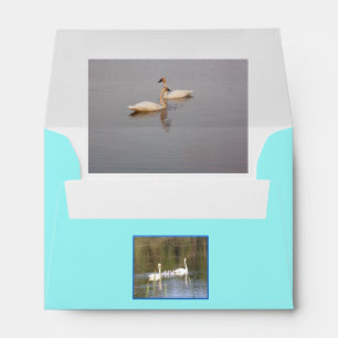 White Swans Envelope