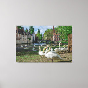 White swans in Bruges city center Canvas Print