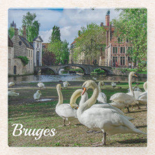 White swans in Bruges Glass Coaster