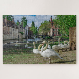 White swans in Bruges Jigsaw Puzzle
