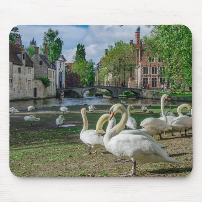 White swans in Bruges Mouse Mat (Front)