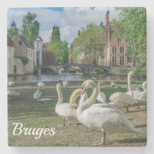 White swans in Bruges Stone Coaster