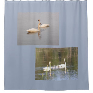 White Swans Shower Curtain