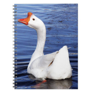 white swimming goose in blue water notebook