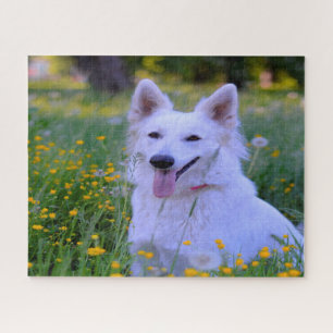 White Swiss Shepherd Dog Jigsaws. Jigsaw Puzzle