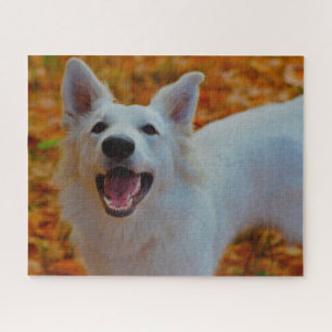 White Swiss Shepherd Dog Jigsaws. Jigsaw Puzzle