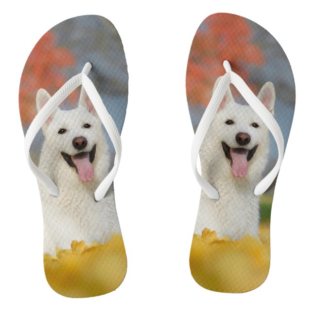 White Swiss Shepherd Dog Photo / Cute Furry Friend Flip Flops (Footbed)