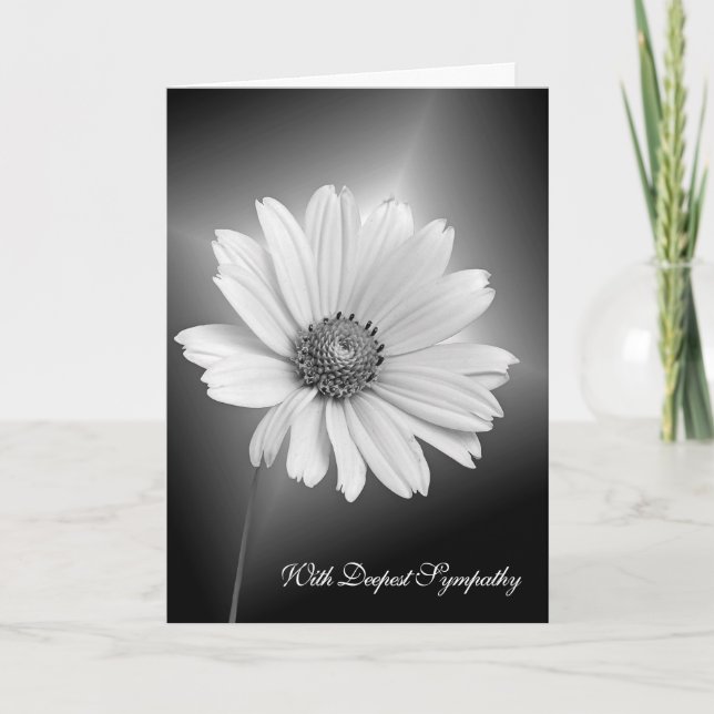 White Sympathy Daisy on Black Card (Front)