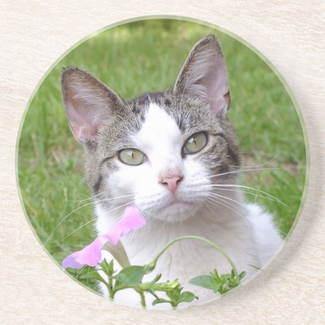 White Tabby Cat and Pink Petunia Coaster (Front)