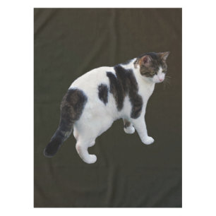 White Tabby With Dark Patches Tablecloth