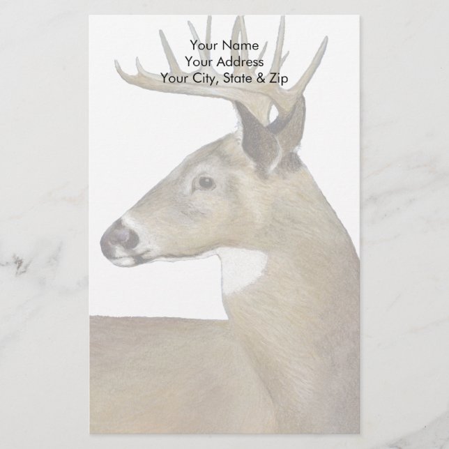 White Tail Buck Stationery (Front)