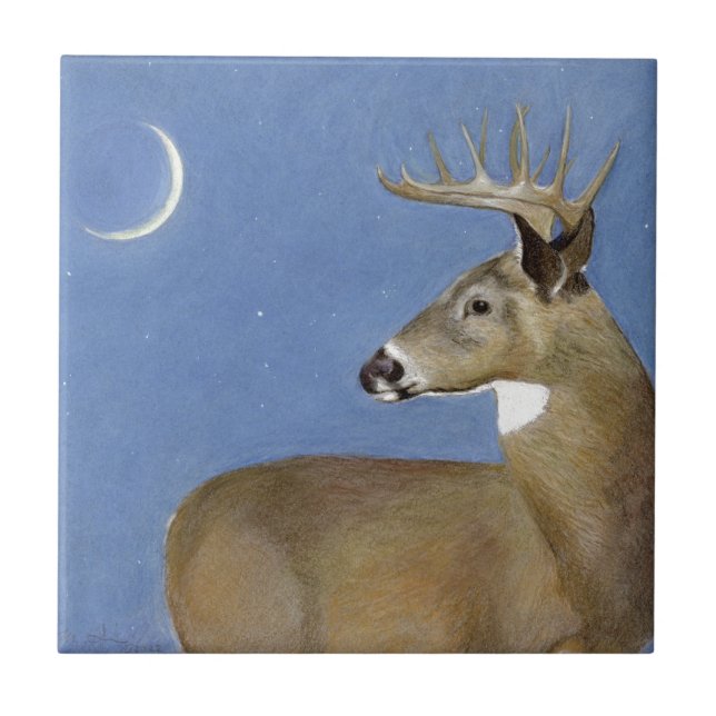 White Tail Buck Tile (Front)
