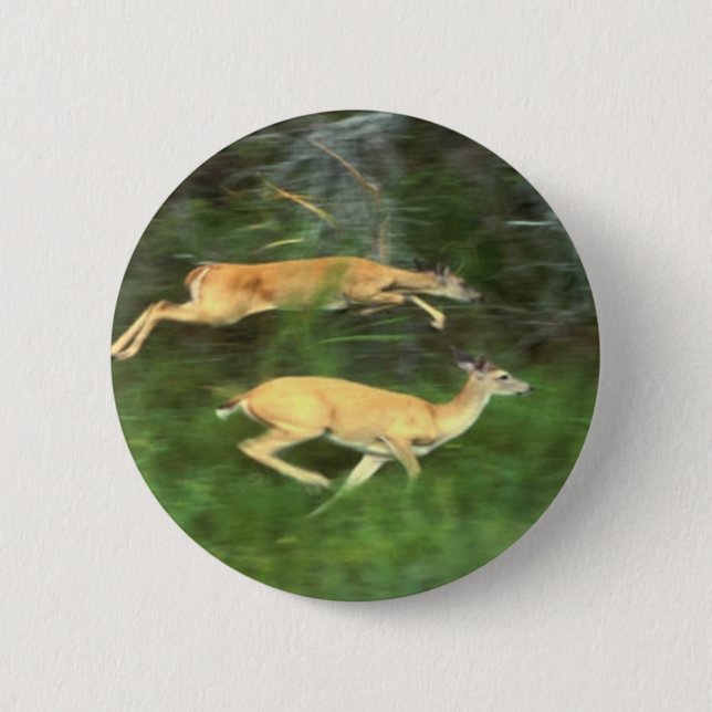 white tail deer 6 cm round badge (Front)