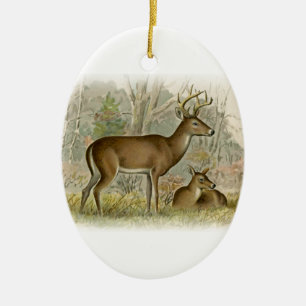 White Tail Deer Buck - Doe Ceramic Tree Decoration