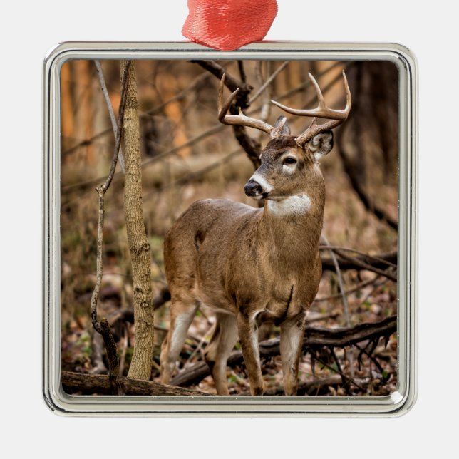 White Tail Deer Buck Metal Tree Decoration (Front)