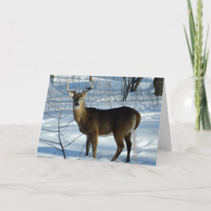 White Tail Deer (Buck) Winter Greeting Card