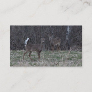 White Tail Deer Business Cards