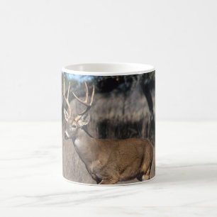 White Tail Deer Coffee Mug