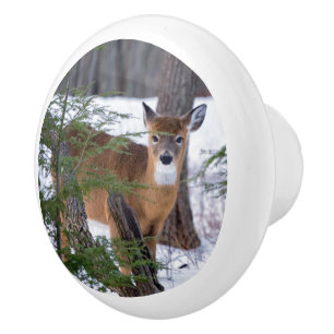 White Tail Deer in Snow Ceramic Knob