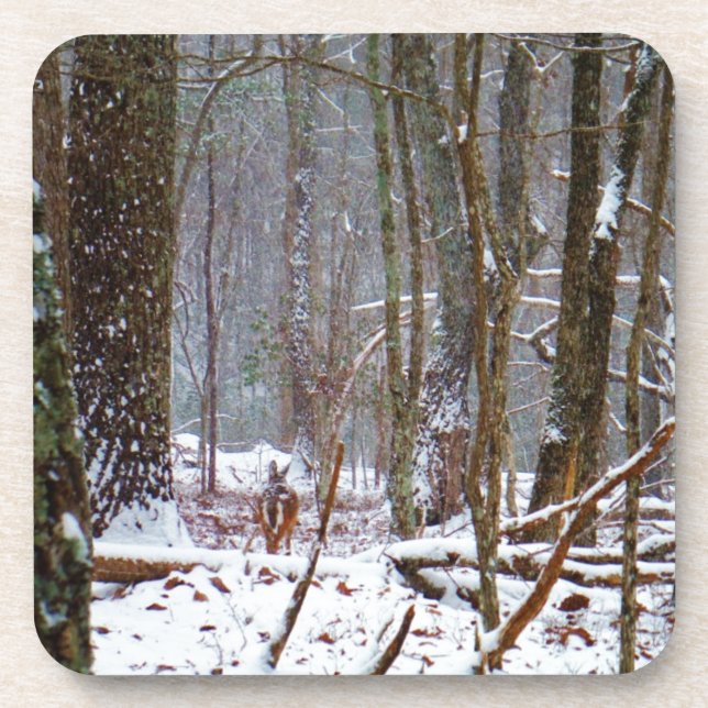 white tail deer in the snow coaster (Front)