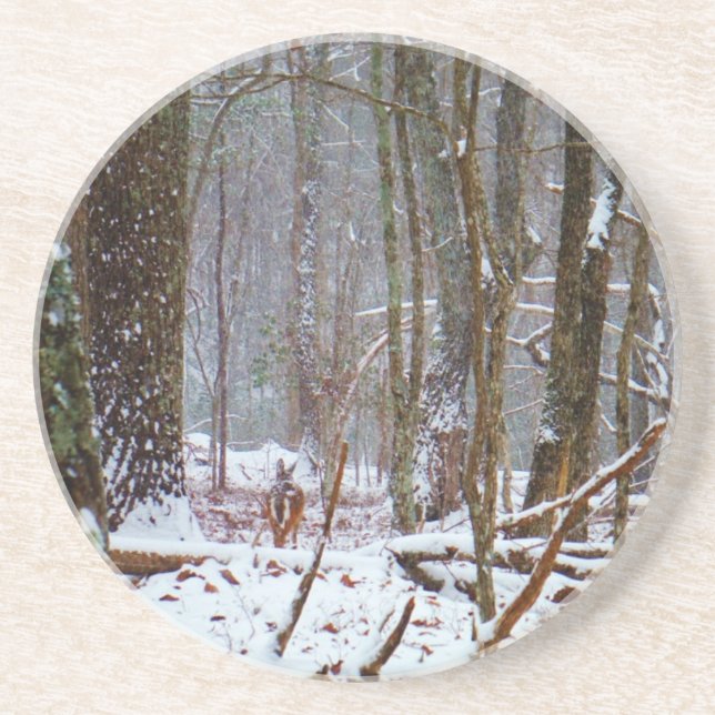 white tail deer in the snow coaster (Front)