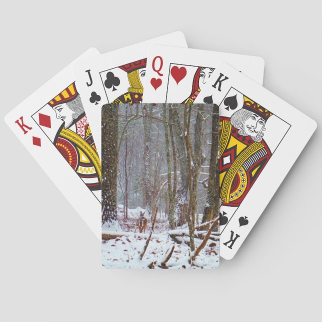 white tail deer in the snow playing cards (Back)