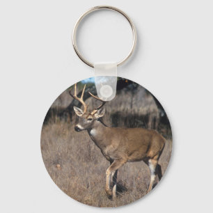 White Tail Deer Key Ring