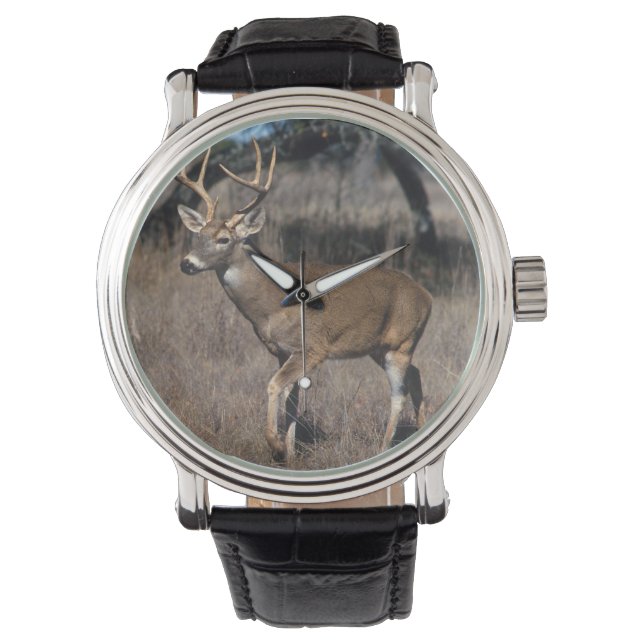 White Tail Deer Watch (Front)