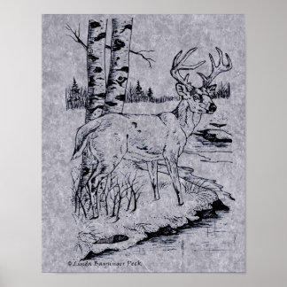 White Tailed Buck Deer Ink Drawing Creek Poster