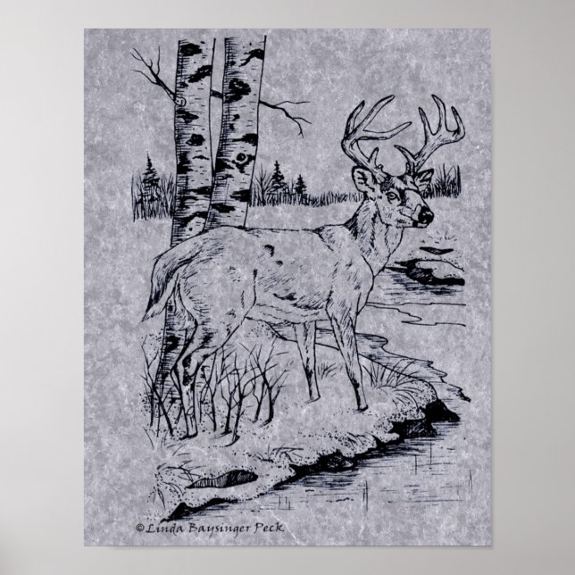 White Tailed Buck Deer Ink Drawing Creek Poster (Front)
