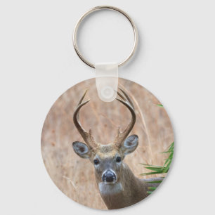 White-tailed Buck Key Ring