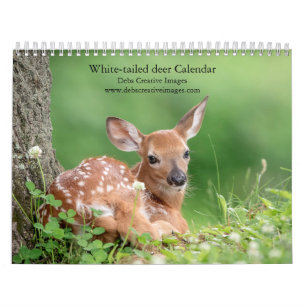 White-tailed deer 2026 calendar