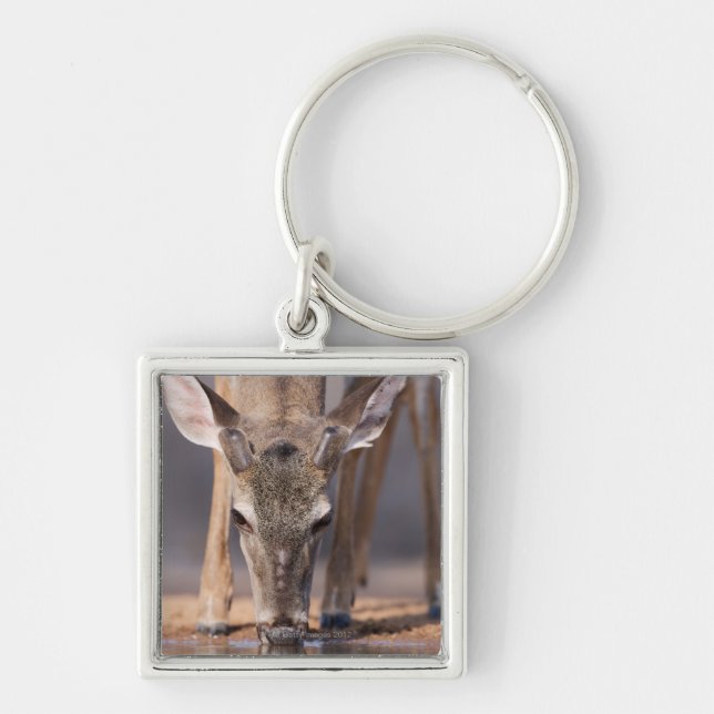 White tailed deer at waterhole key ring (Front)