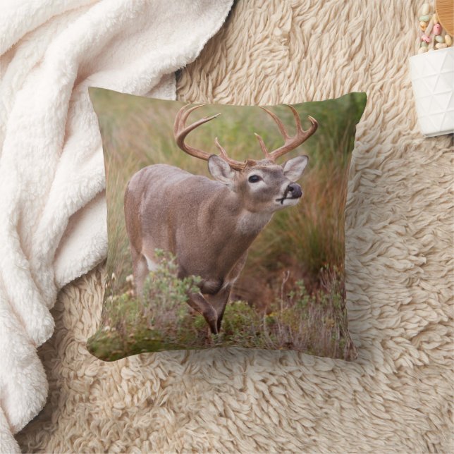 White-tailed Deer Autumn in Texas Cushion (Blanket)