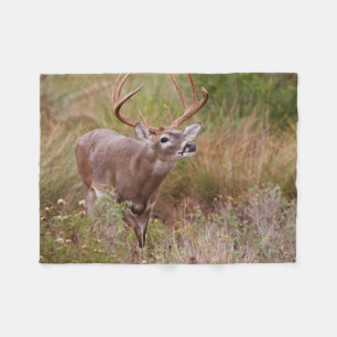 White-tailed Deer Autumn in Texas Fleece Blanket