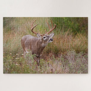 White-tailed Deer Autumn in Texas Jigsaw Puzzle