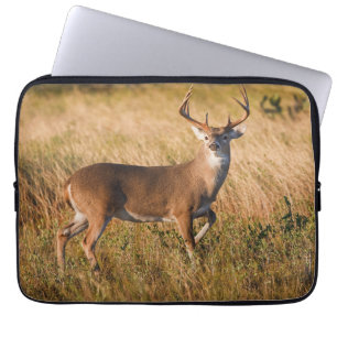 White-tailed Deer   Autumn in TX Laptop Sleeve