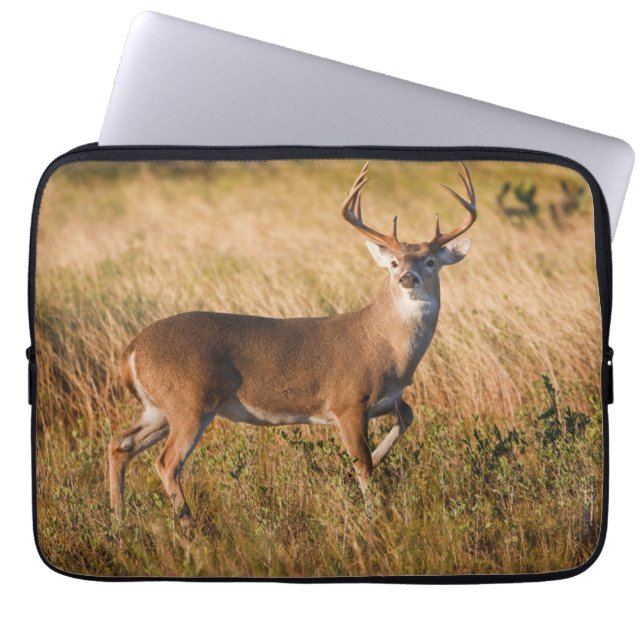 White-tailed Deer | Autumn in TX Laptop Sleeve (Front)