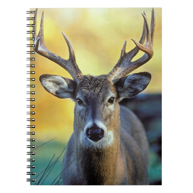 White-Tailed Deer | Autumn Notebook (Front)