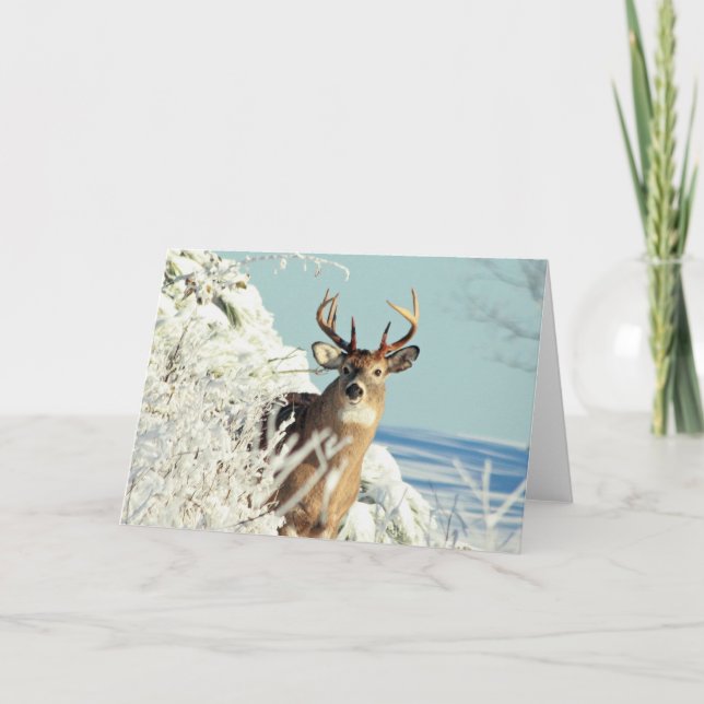 White Tailed Deer Big Buck Winter Scene Card (Front)