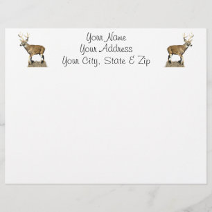 White Tailed Deer Buck